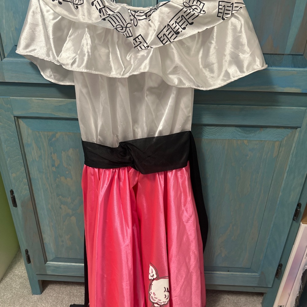 Poodle skirt costume dress